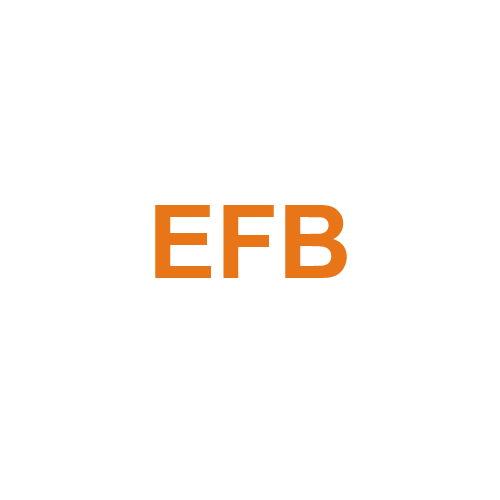 Icon batterie EFB