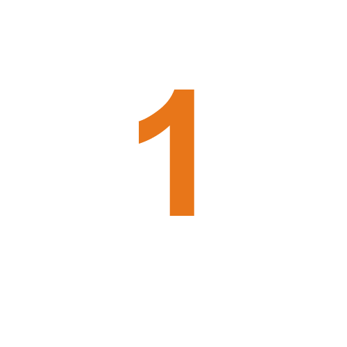 Icon 1